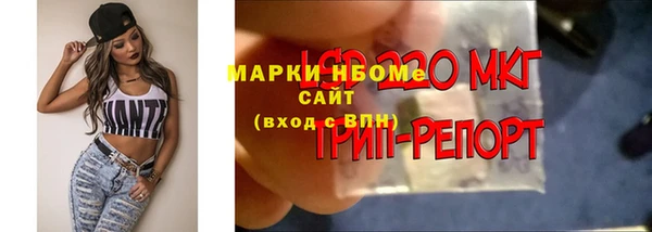 молекула духа Лагань
