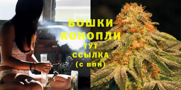 молекула духа Лагань
