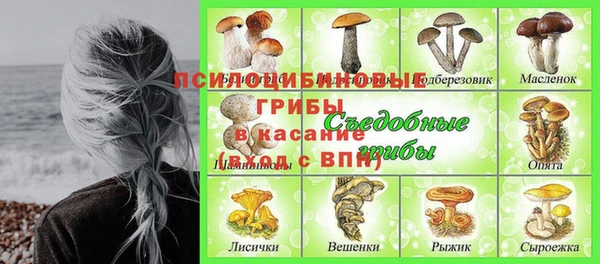 Альфа ПВП Ладушкин
