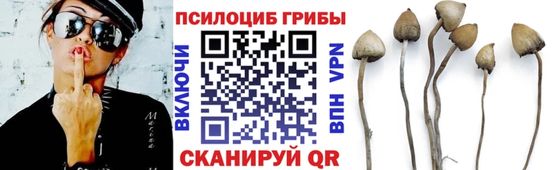 Галлюциногенные грибы мицелий  Купить закладки  Свободный 